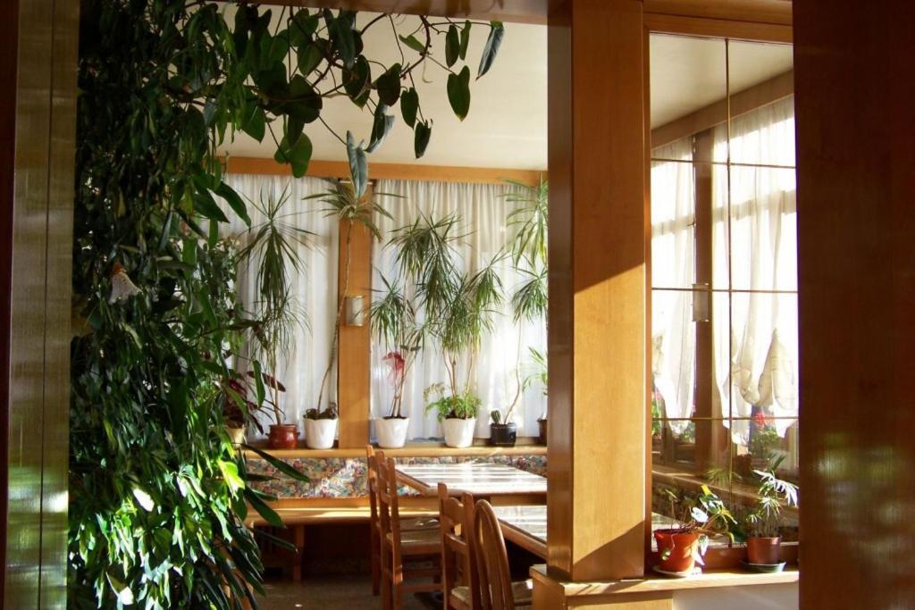 Hotel Brustolon Dont 外观 照片